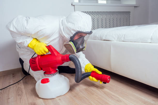 Best Pest Prevention Services  in Blackshear, GA